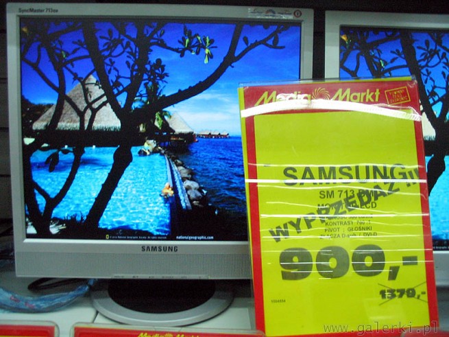 Samsung SM 713 DM - monitor LCD 19