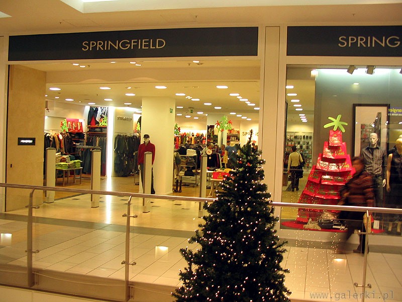 Springfield to marka odzieżowa dla młodych mężczyzn i kobiet.Odzież z bawełny, ...