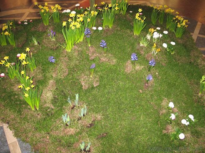 Trawnik i kwiaty wewnątrz Arkadii